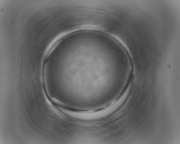 X0000083041342200702161657