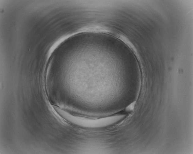 X0000083041344200702161657