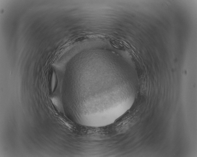 X0000083041345200702161656