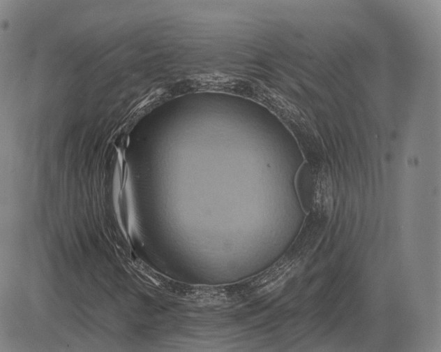 X0000083041346200702161656