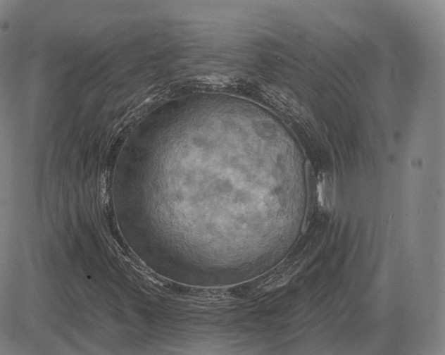 X0000083041347200702161656