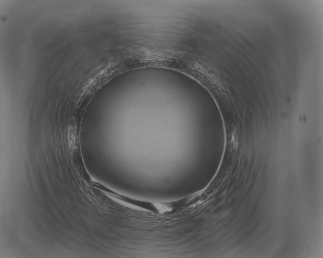 X0000083041348200702161656