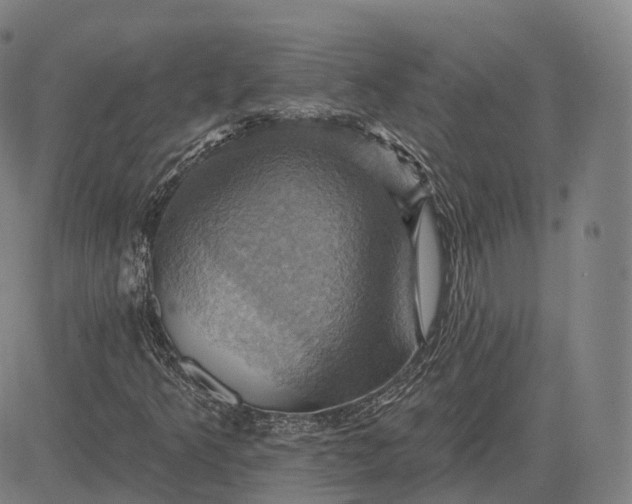 X0000083041349200702161656