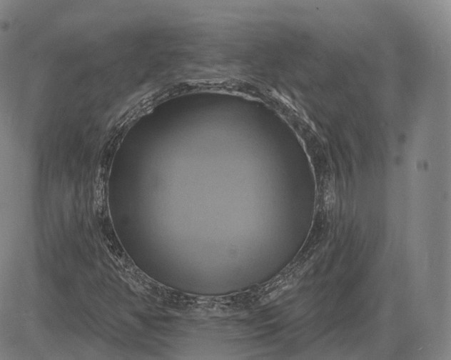 X0000083041350200702161656