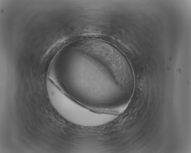 X0000083041351200702161656