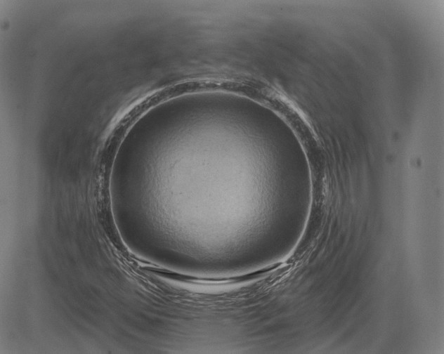 X0000083041352200702161656