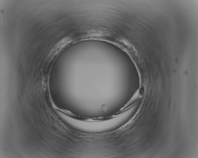 X0000083041353200702161656