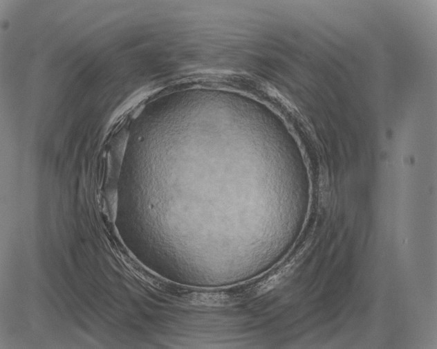 X0000083041354200702161656