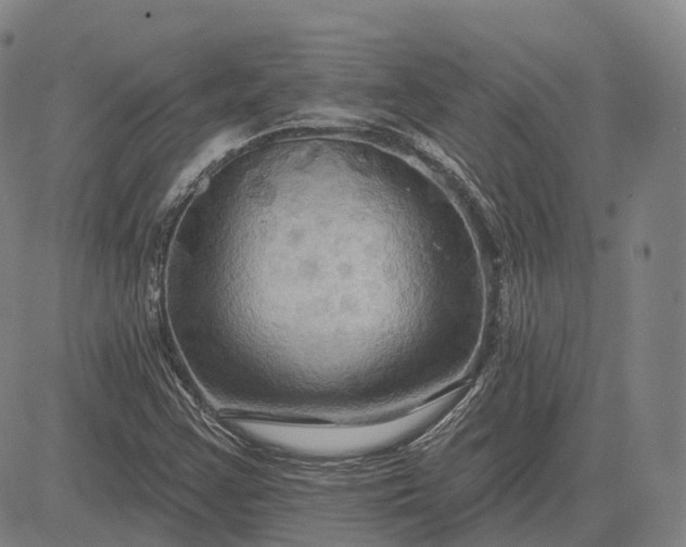 X0000083041355200702161656