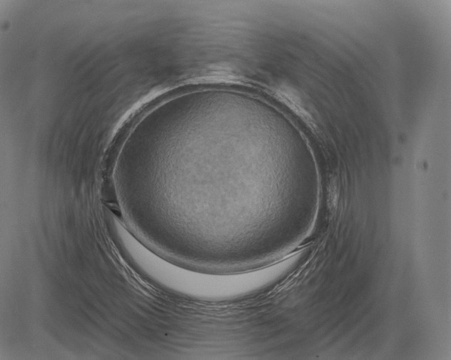 X0000083041356200702161656