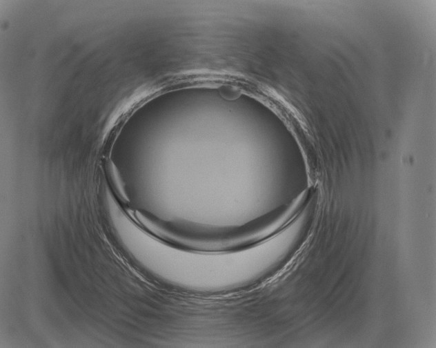 X0000083041357200702161656