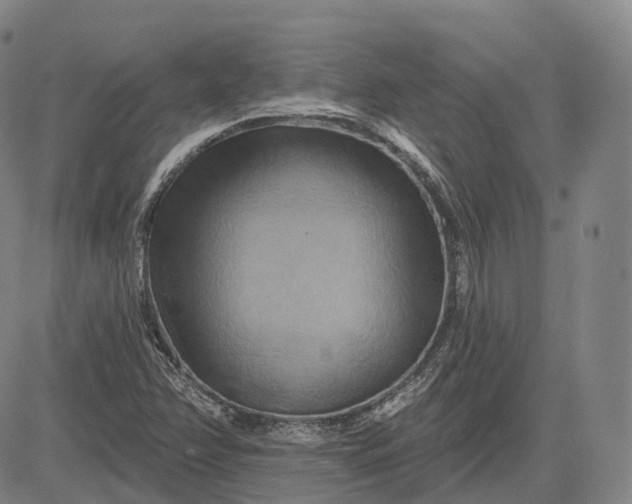 X0000083041358200702161656