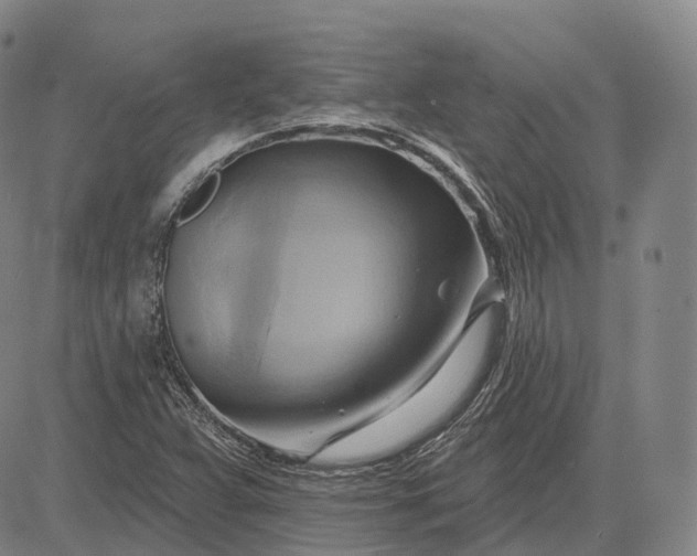 X0000083041359200702161656