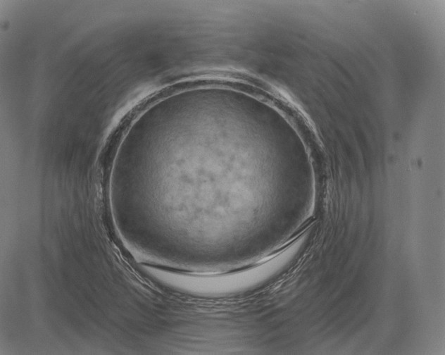 X0000083041360200702161656