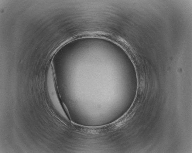 X0000083041361200702161656