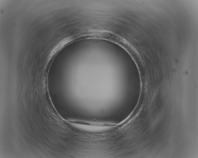 X0000083041362200702161656