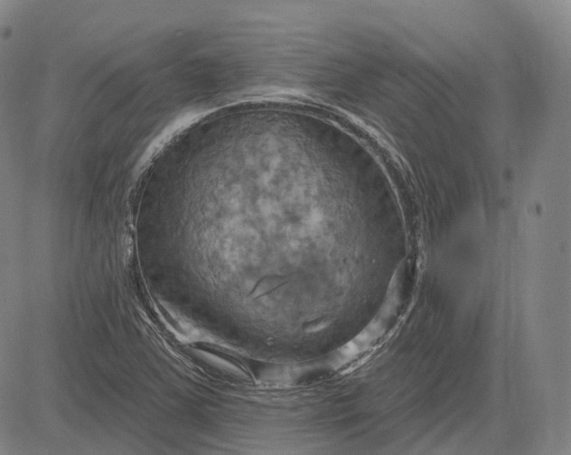 X0000083041363200702161656