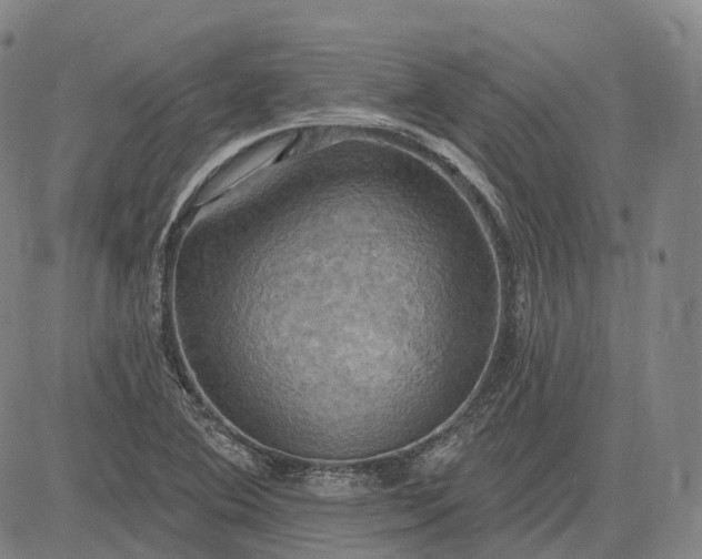 X0000083041364200702161656