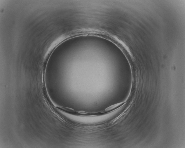 X0000083041365200702161656