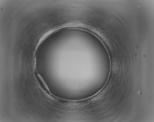 X0000083041366200702161656