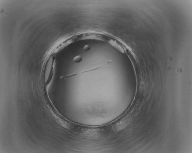 X0000083041367200702161656