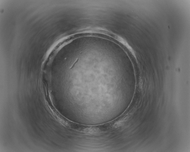 X0000083041368200702161656