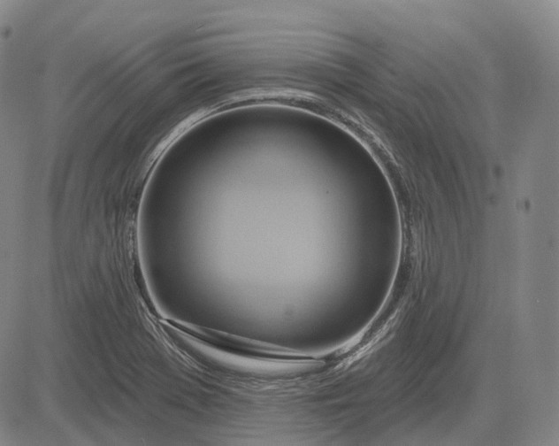 X0000083041369200702161656