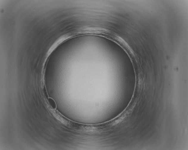 X0000083041370200702161656