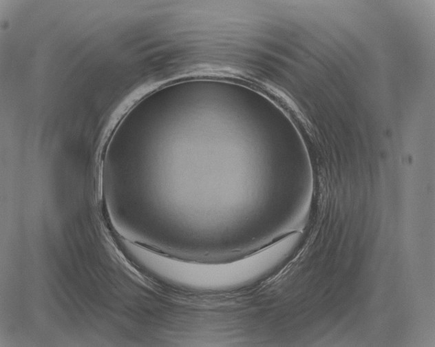 X0000083041371200702161656