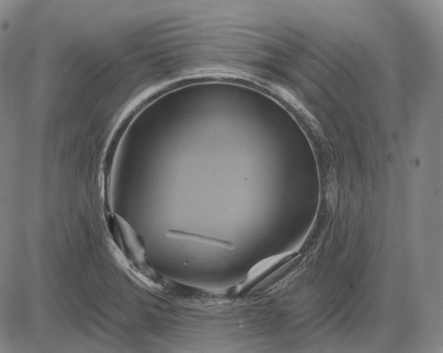 X0000083041372200702161656