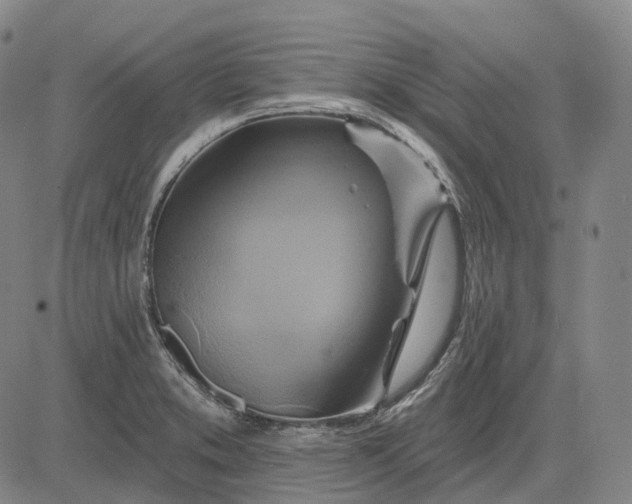 X0000083041373200702161656