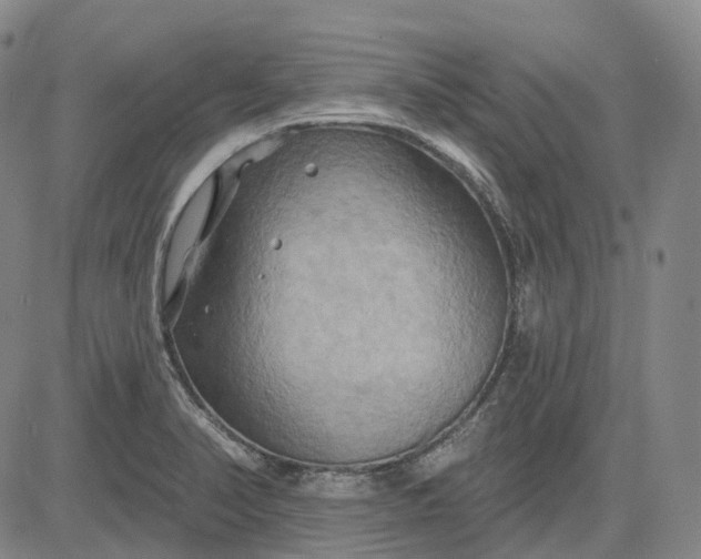 X0000083041374200702161655