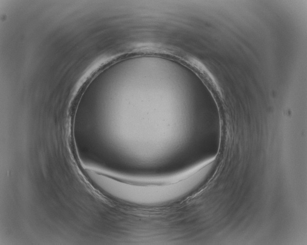 X0000083041376200702161655