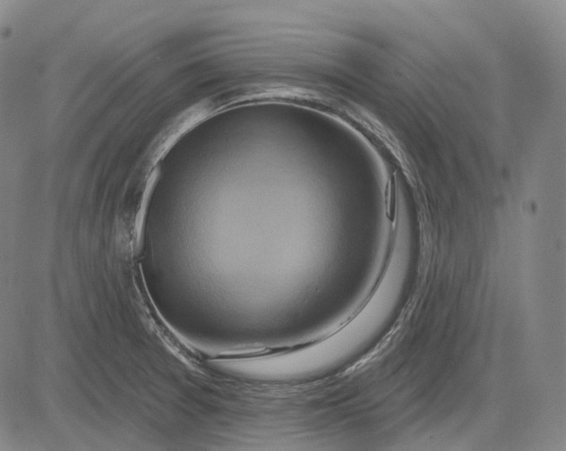 X0000083041377200702161655