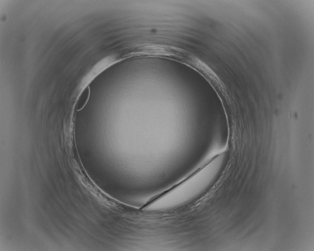 X0000083041378200702161655