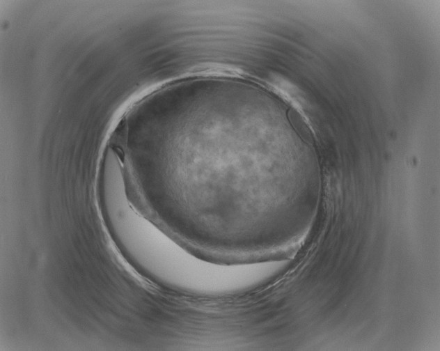 X0000083041379200702161655