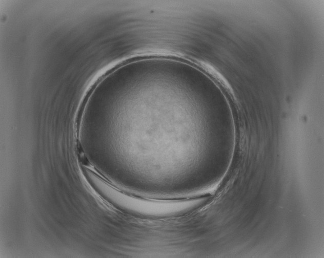 X0000083041380200702161655