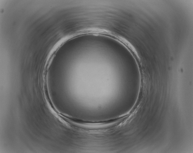 X0000083041381200702161655