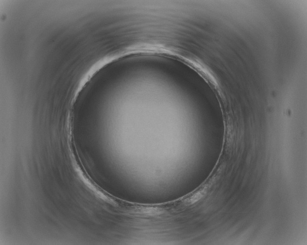 X0000083041382200702161655