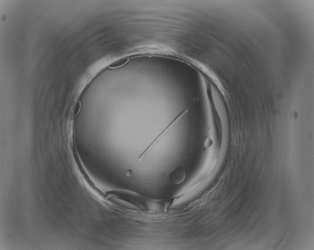 X0000083041383200702161655