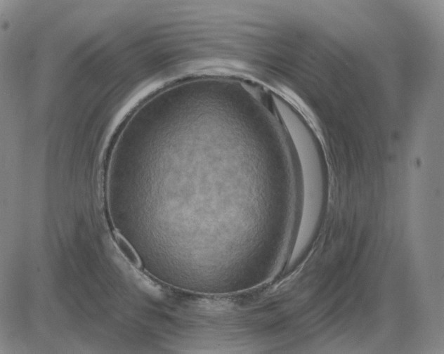 X0000083041384200702161655