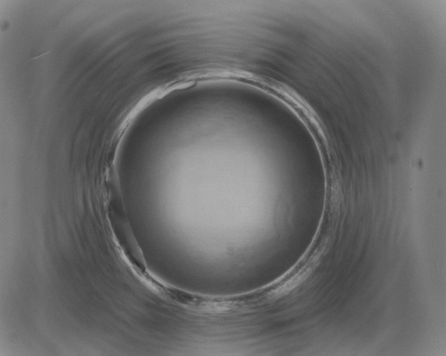 X0000083041385200702161655