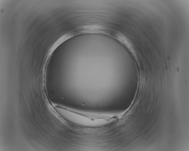 X0000083041386200702161655