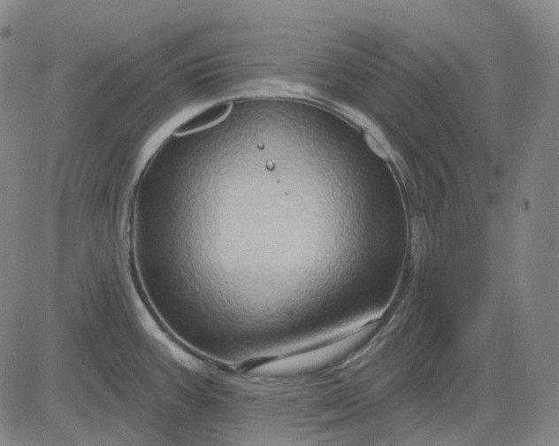 X0000083041387200702161655