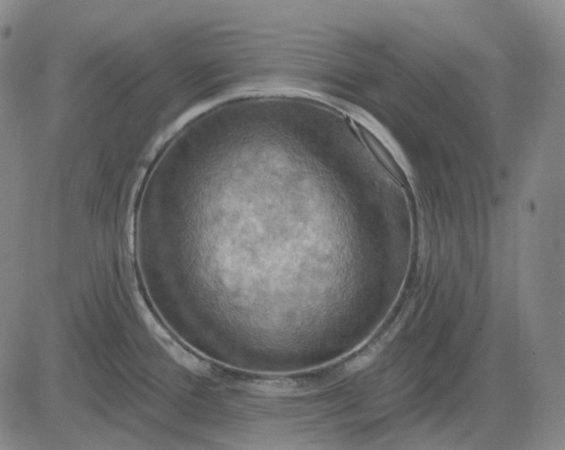 X0000083041388200702161655