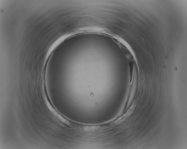 X0000083041389200702161655