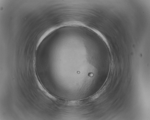 X0000083041390200702161655