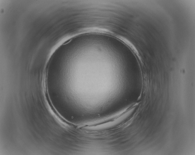 X0000083041391200702161655