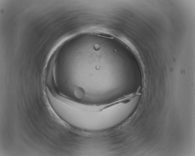 X0000083041392200702161655