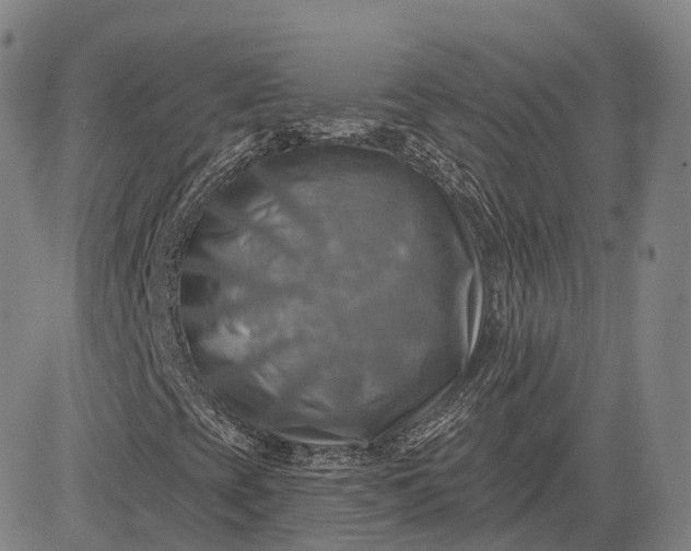 X0000083041393200702161654